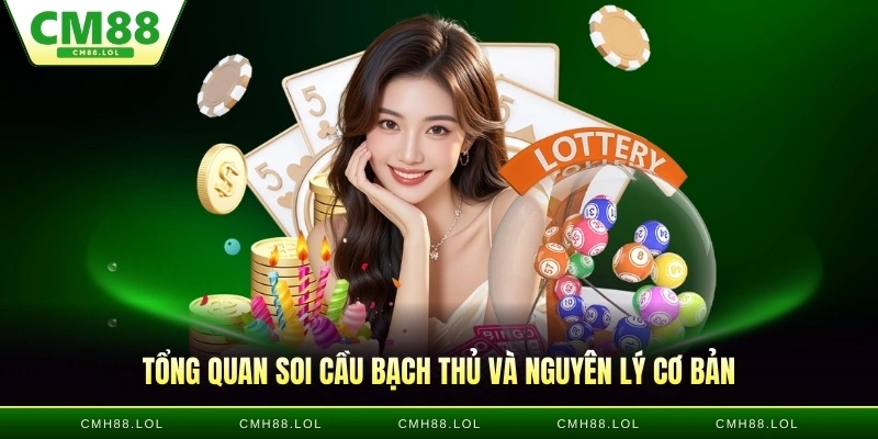 tong-quan-soi-cau-bach-thu-lo