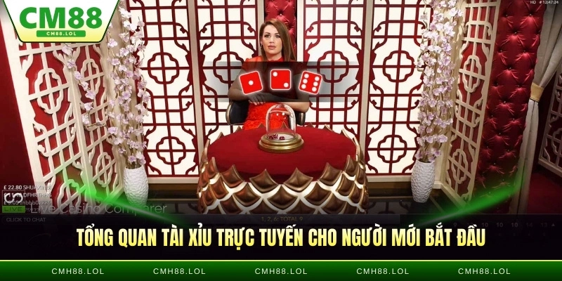 tong-quan-tai-xiu-truc-tuyen-cho-nguoi-moi